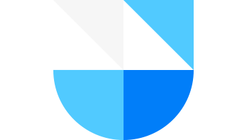 DSM_Logo